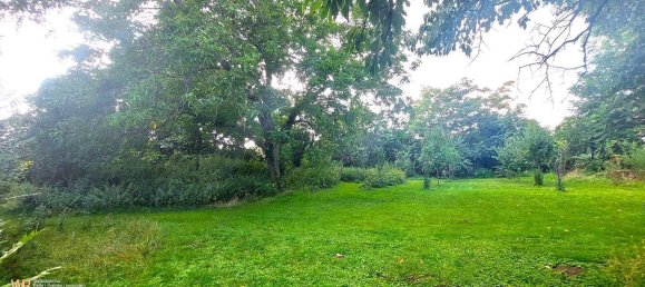 Terreno em Potzneusiedl, Austria 1474 m² N.º 164405 4