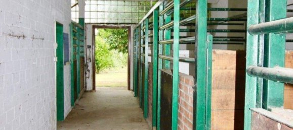 Земельный участок в Pinneberg, Германия № 224237 11