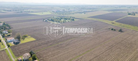 27460m² Land in Medicina, Italy No. 154785 12