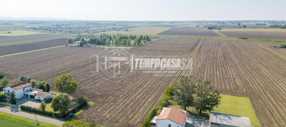 27460m² Land in Medicina, Italy No. 154785 2