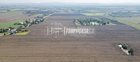 27460m² Land in Medicina, Italy No. 154785 13