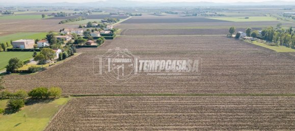 27460m² Land in Medicina, Italy No. 154785 3