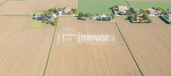 27460m² Land in Medicina, Italy No. 154785 15