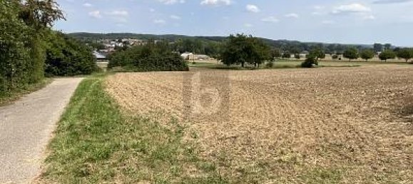 423m² Land in Karlsruhe, Germany No. 305754 2