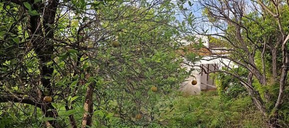 2 bedrooms House in Pinhal Novo, Portugal No. 21216 5