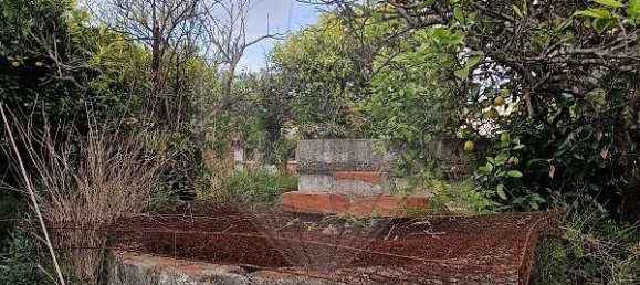 2 bedrooms House in Pinhal Novo, Portugal No. 21216 4