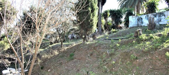 6 bedrooms House in Benajarafe, Spain No. 56827 49