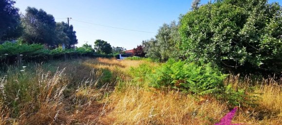 Grundstück in Viana do Castelo, Portugal 2814m², Nr. 209114 8