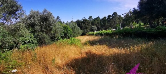 Grundstück in Viana do Castelo, Portugal 2814m², Nr. 209114 6