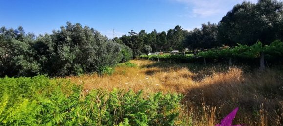 Grundstück in Viana do Castelo, Portugal 2814m², Nr. 209114 2