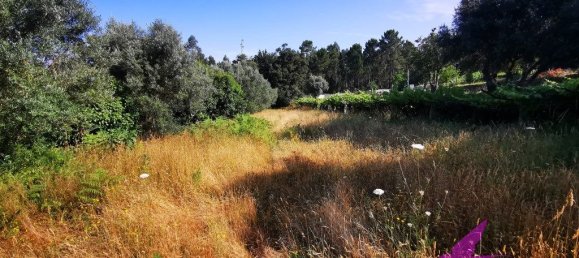 Grundstück in Viana do Castelo, Portugal 2814m², Nr. 209114 7