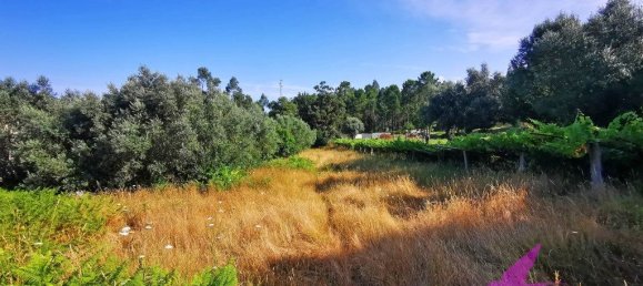 Grundstück in Viana do Castelo, Portugal 2814m², Nr. 209114 4