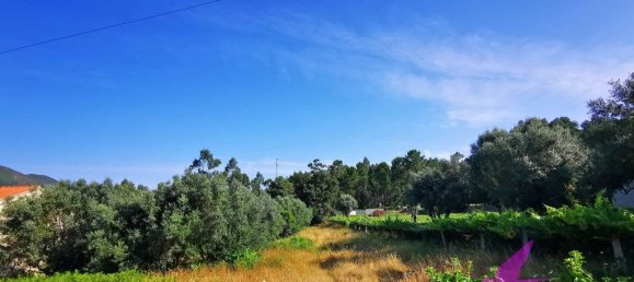 Grundstück in Viana do Castelo, Portugal 2814m², Nr. 209114 3