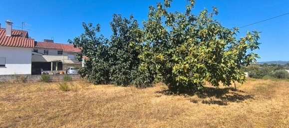 Grundstück in Tomar, Portugal 1960m², Nr. 309533 11