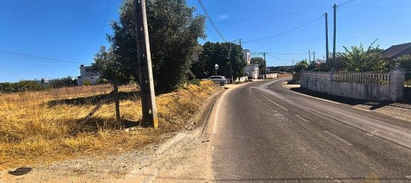 Grundstück in Tomar, Portugal 1960m², Nr. 309533 8