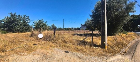 Grundstück in Tomar, Portugal 1960m², Nr. 309533 7