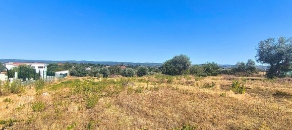 Grundstück in Tomar, Portugal 1960m², Nr. 309533 12