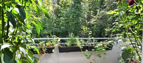 2-Zimmer Wohnung in Dresden, Germany, Nr. 319170 5