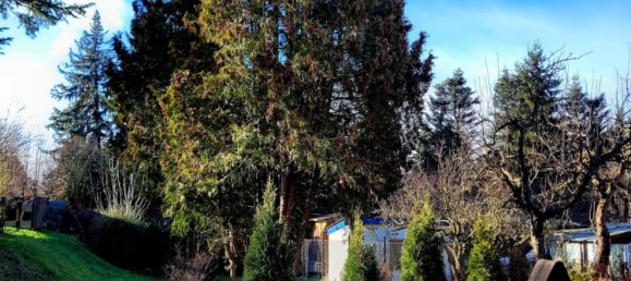 Casa de 4 divisões em Gotha, Germany N.º 53809 4