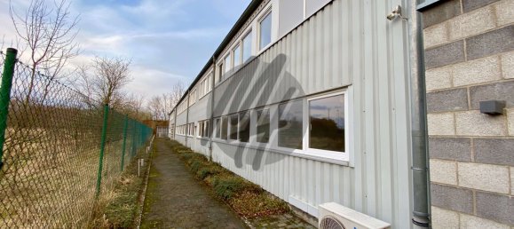 Lagerhaus in Main-Kinzig, Germany 4650m², Nr. 320431 44
