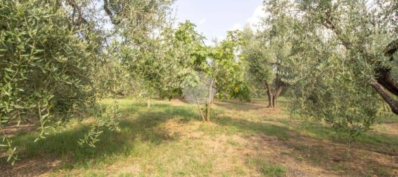 1 Schlafzimmer Haus in Palombara Sabina, Italy, Nr. 320152 21