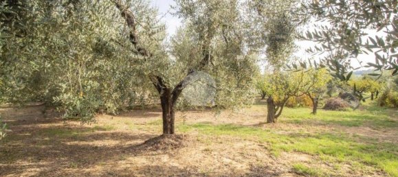 1 Schlafzimmer Haus in Palombara Sabina, Italy, Nr. 320152 17