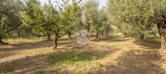 1 Schlafzimmer Haus in Palombara Sabina, Italy, Nr. 320152 23