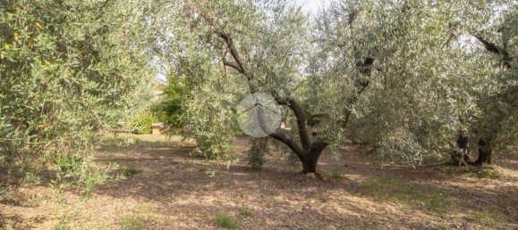 1 Schlafzimmer Haus in Palombara Sabina, Italy, Nr. 320152 15