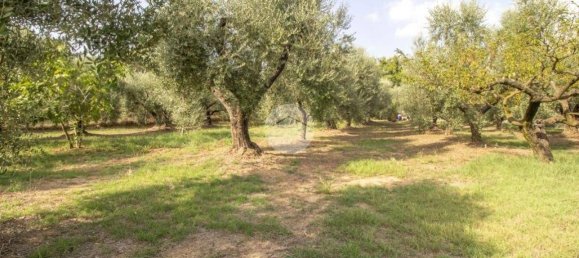 1 Schlafzimmer Haus in Palombara Sabina, Italy, Nr. 320152 20