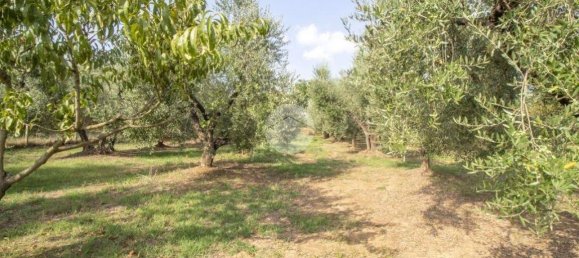 1 Schlafzimmer Haus in Palombara Sabina, Italy, Nr. 320152 6