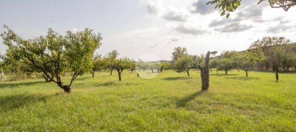 1 Schlafzimmer Haus in Palombara Sabina, Italy, Nr. 320152 22