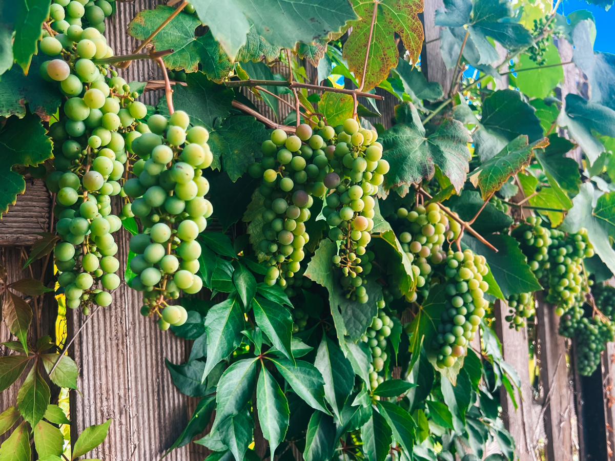 Adosado de 8 habitaciónes en Augsburg, Germany No. 342171