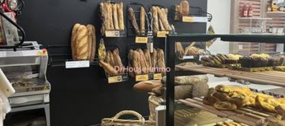 Gewerbliche Immobilie in Sainte-Livrade-sur-Lot, France 250m², Nr. 314056 3