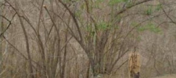  Land in Orotina, Costa Rica No. 1707 3