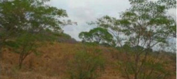  Land in Orotina, Costa Rica No. 1707 5