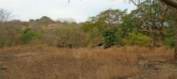  Land in Orotina, Costa Rica No. 1707 2