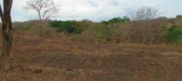  Land in Orotina, Costa Rica No. 1707 4