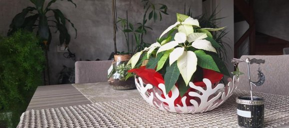 5-salle Penthouse à Rimini, Italy No. 80145 10