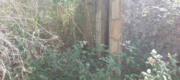 1 Schlafzimmer Haus in Campanet, Spain, Nr. 165189 16