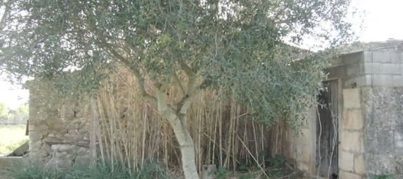 1 Schlafzimmer Haus in Campanet, Spain, Nr. 165189 6