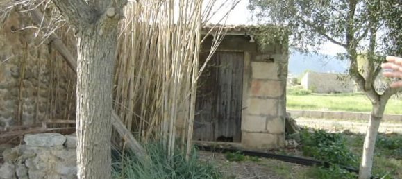 1 Schlafzimmer Haus in Campanet, Spain, Nr. 165189 5