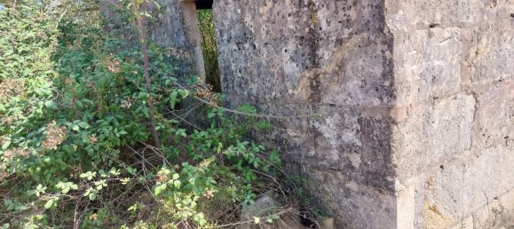 1 Schlafzimmer Haus in Campanet, Spain, Nr. 165189 15