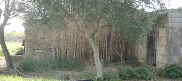 1 Schlafzimmer Haus in Campanet, Spain, Nr. 165189 7