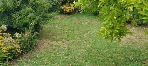 Дом с 5 комнатами в Эдельсталь, Австрия № 249479 28