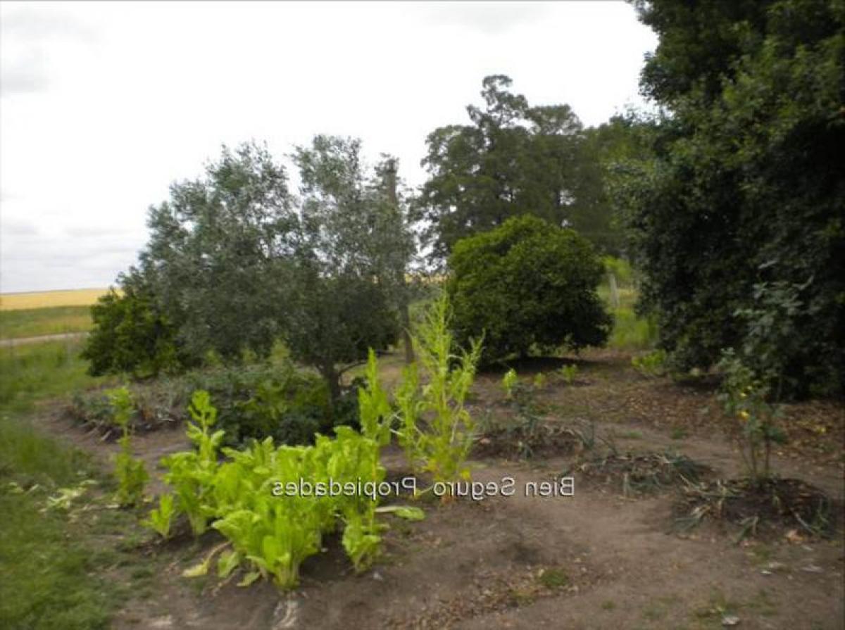 4 غرف نوم منزل في Canelones, Uruguay رقم 870