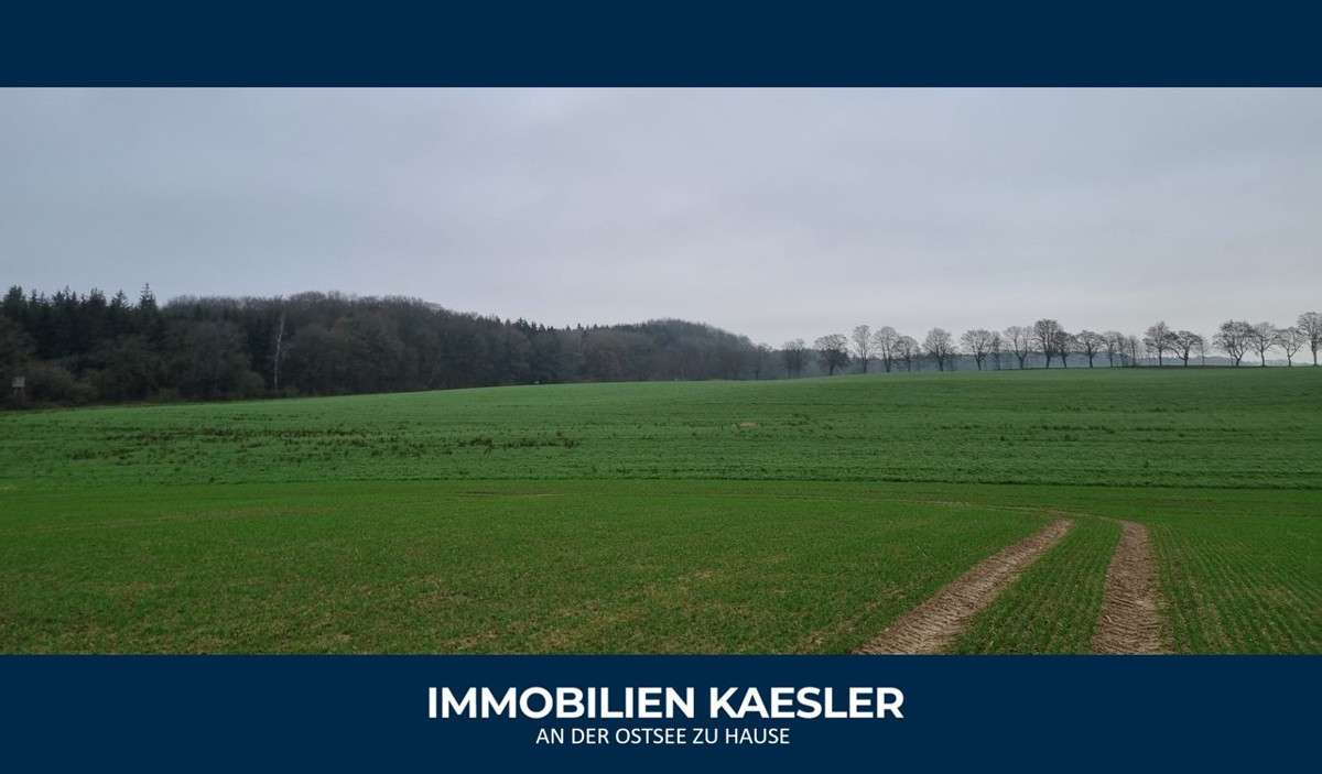 Grundstück in Rostock, Germany, Nr. 133470