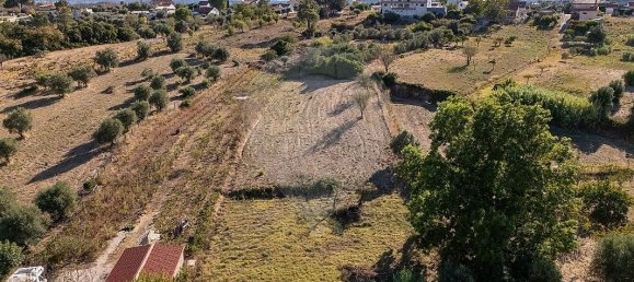 3 bedrooms House in Tomar, Portugal No. 20152 6