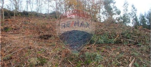 10538m² Land in Rossas, Portugal No. 35812 11