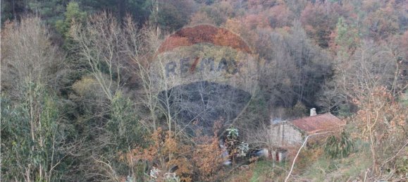 10538m² Land in Rossas, Portugal No. 35812 10