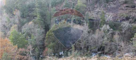 10538m² Land in Rossas, Portugal No. 35812 7